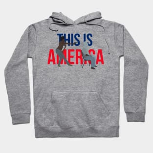 Childish Gambino - This is America Hoodie